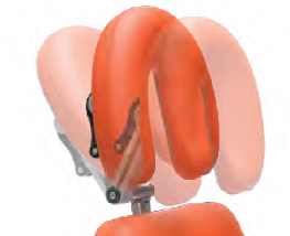 @\wbhXg